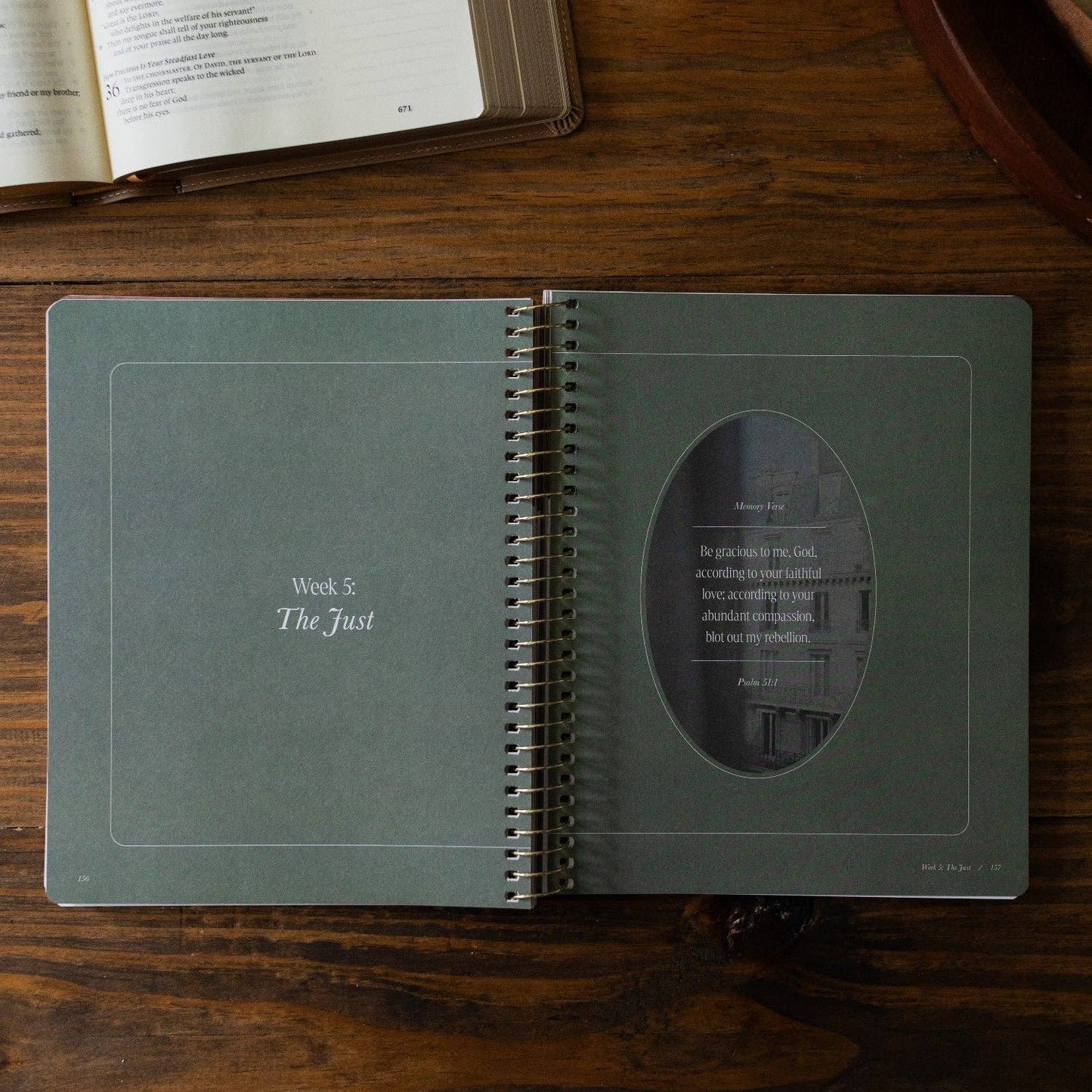 Peaks and Valleys | A Study on the Life of David