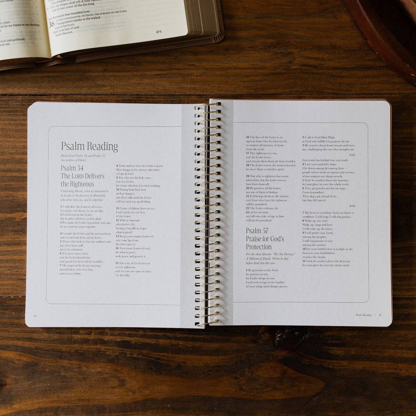 Peaks and Valleys | A Study on the Life of David