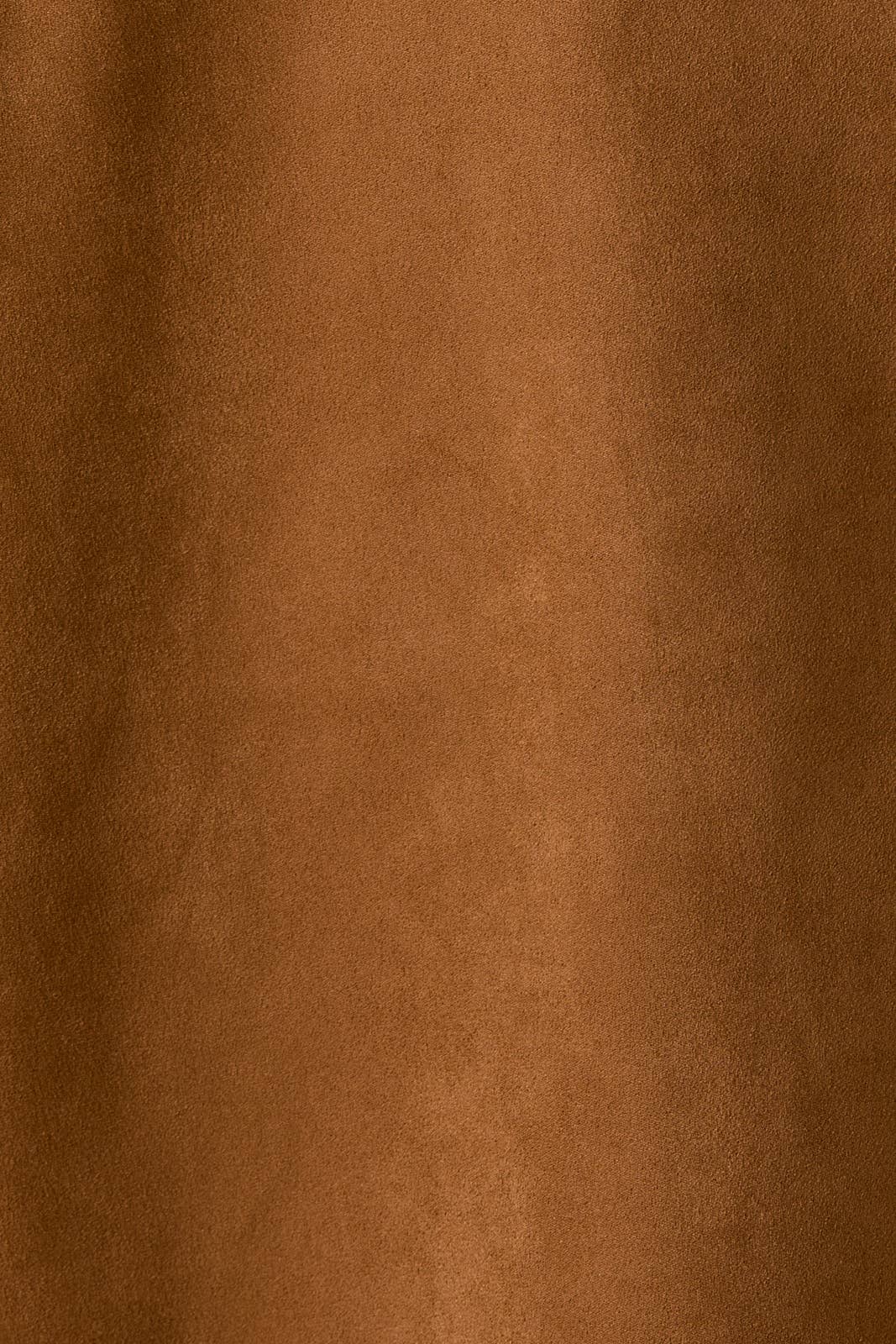Desert Blazer