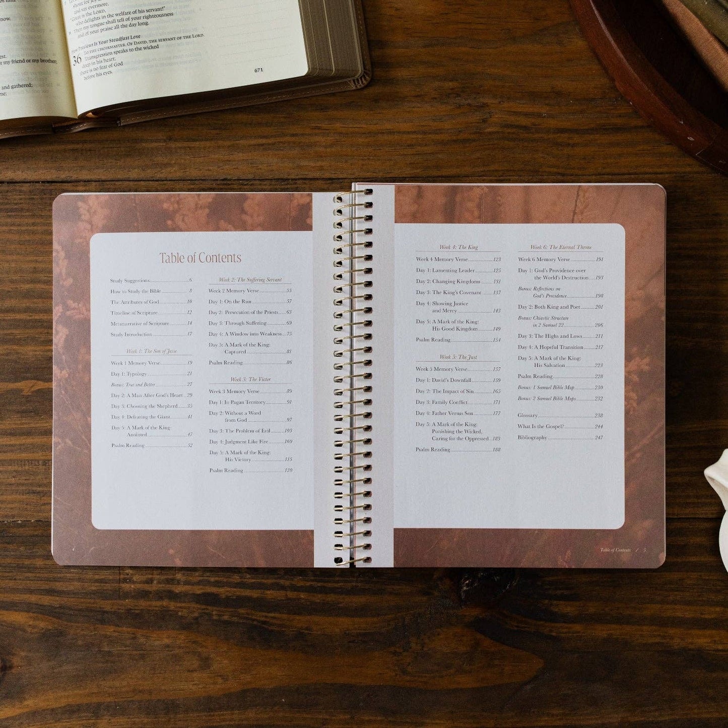 Peaks and Valleys | A Study on the Life of David