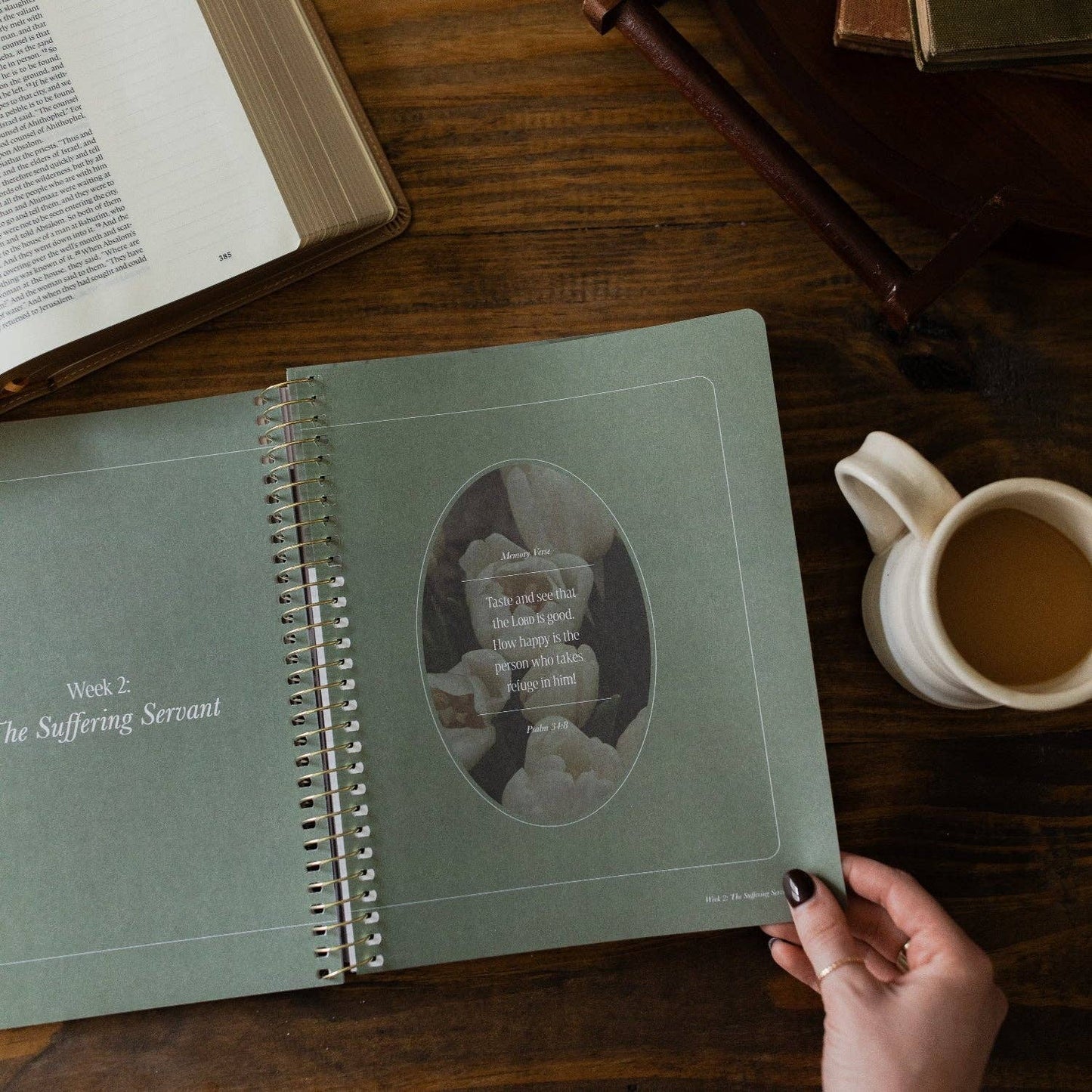 Peaks and Valleys | A Study on the Life of David