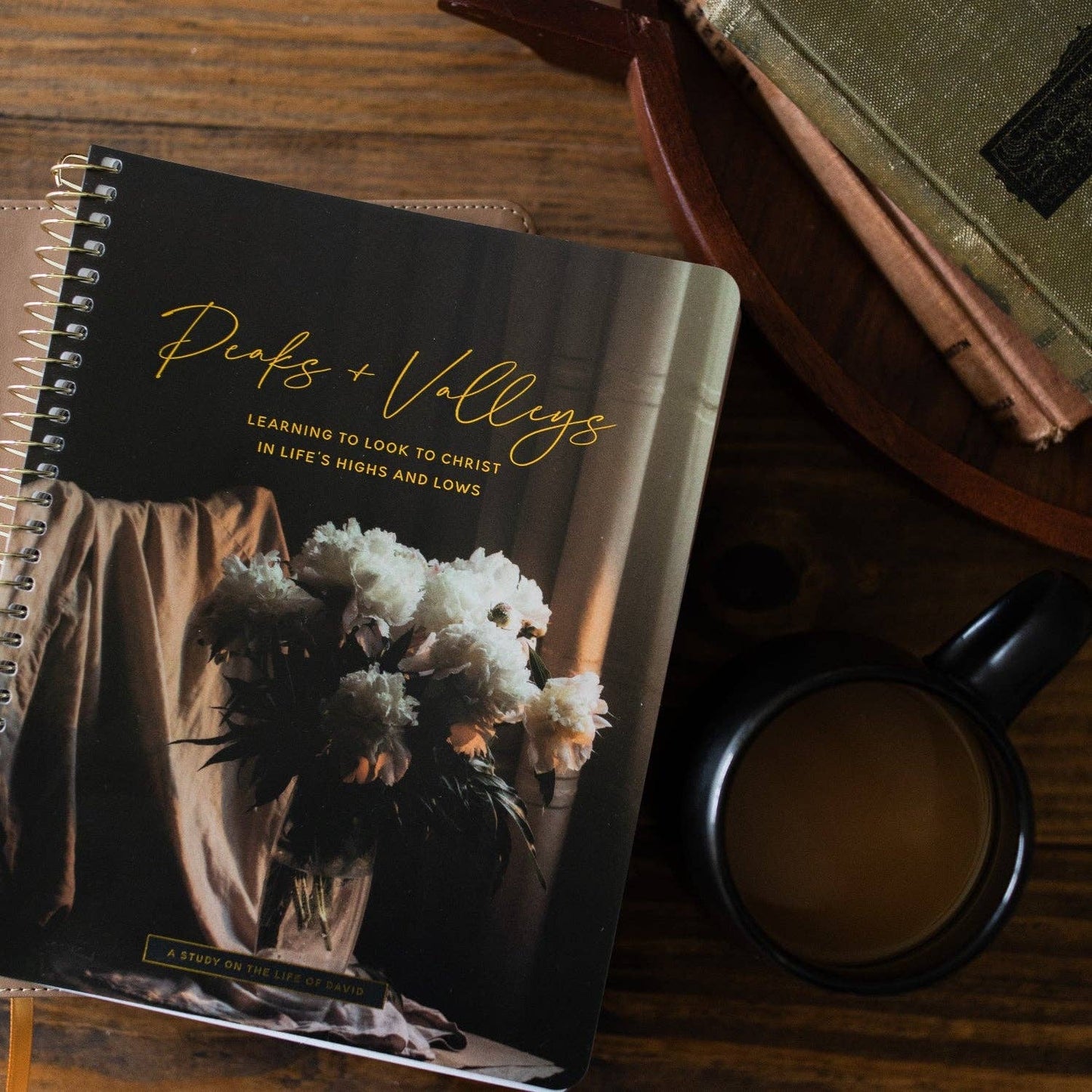 Peaks and Valleys | A Study on the Life of David