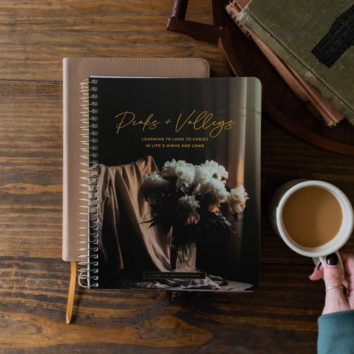 Peaks and Valleys | A Study on the Life of David