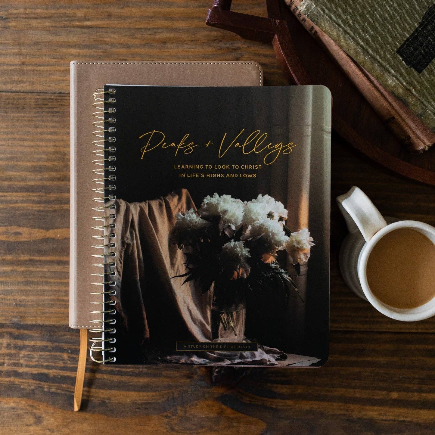Peaks and Valleys | A Study on the Life of David