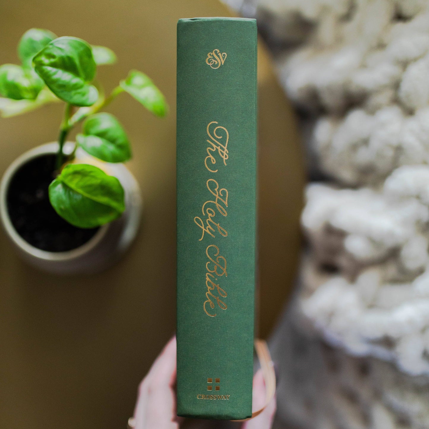 ESV Single Column Journaling Bible