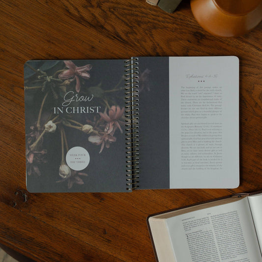 Chosen | Ephesians Study