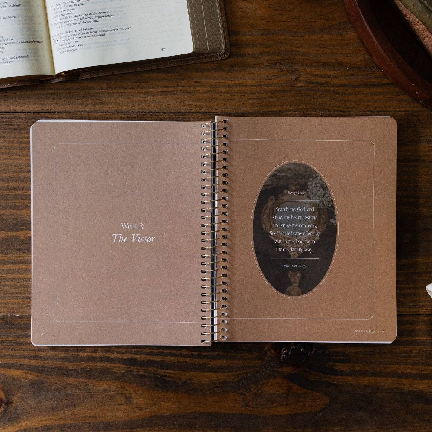 Peaks and Valleys | A Study on the Life of David