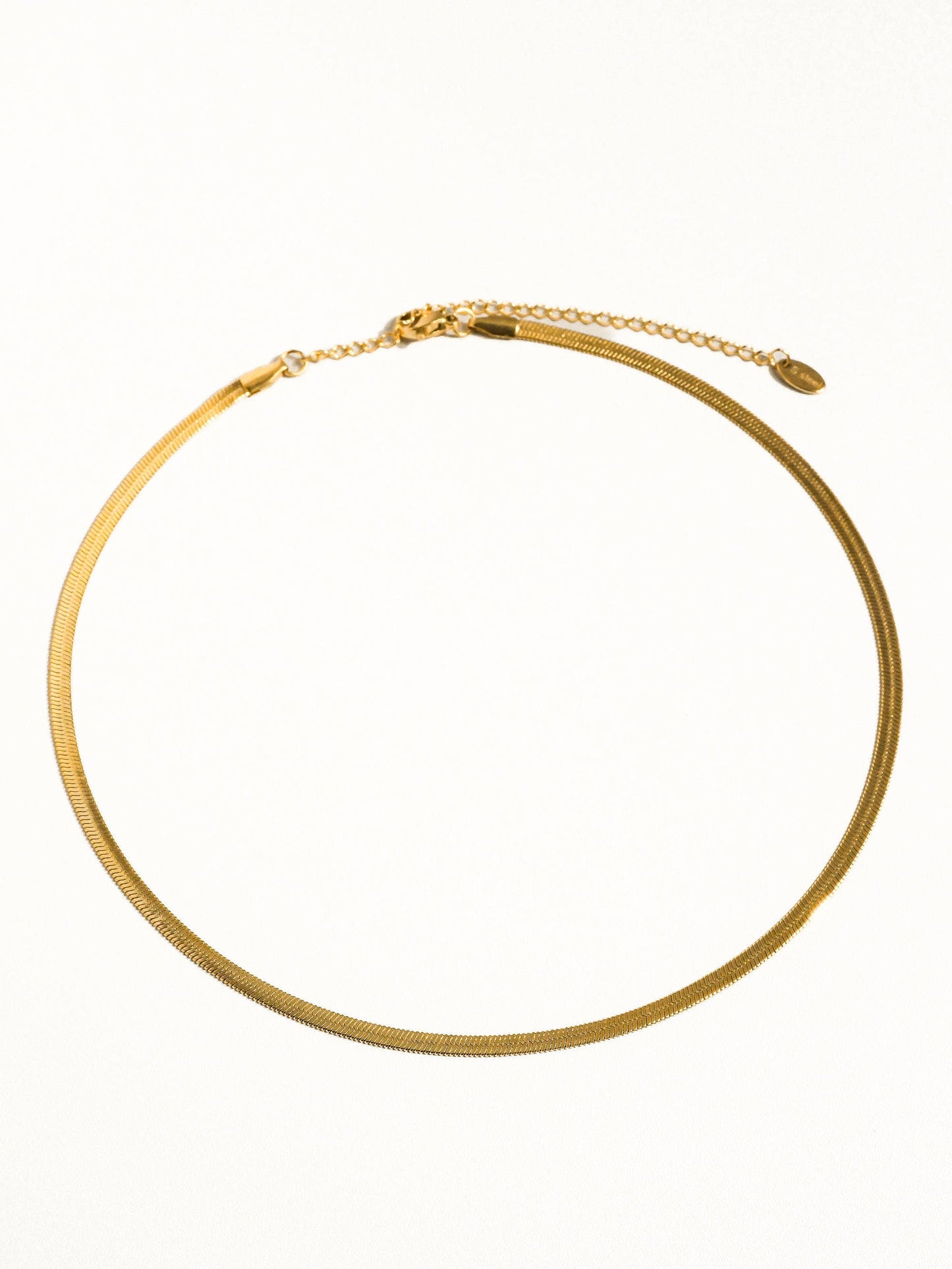 18K Gold Non-Tarnish Flat Snake Chain Bracelet