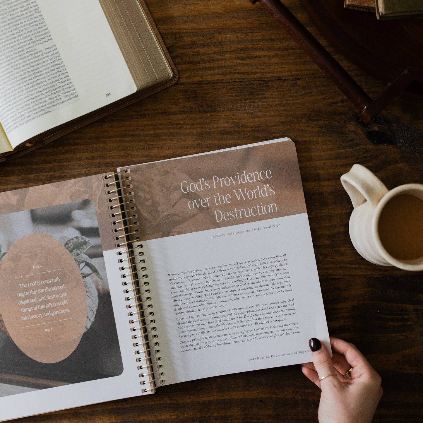 Peaks and Valleys | A Study on the Life of David