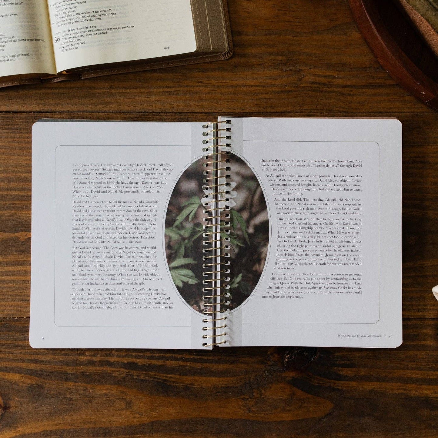 Peaks and Valleys | A Study on the Life of David