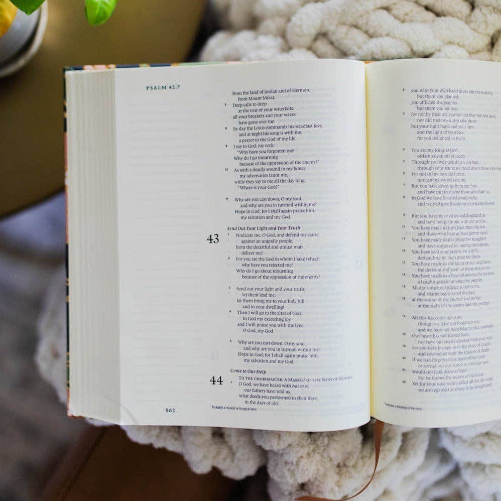 ESV Single Column Journaling Bible