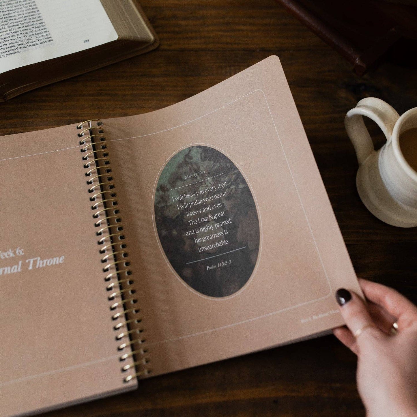 Peaks and Valleys | A Study on the Life of David