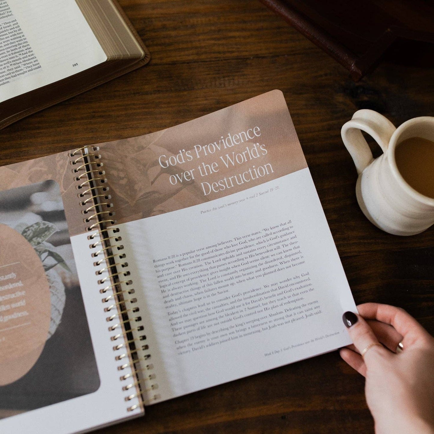 Peaks and Valleys | A Study on the Life of David