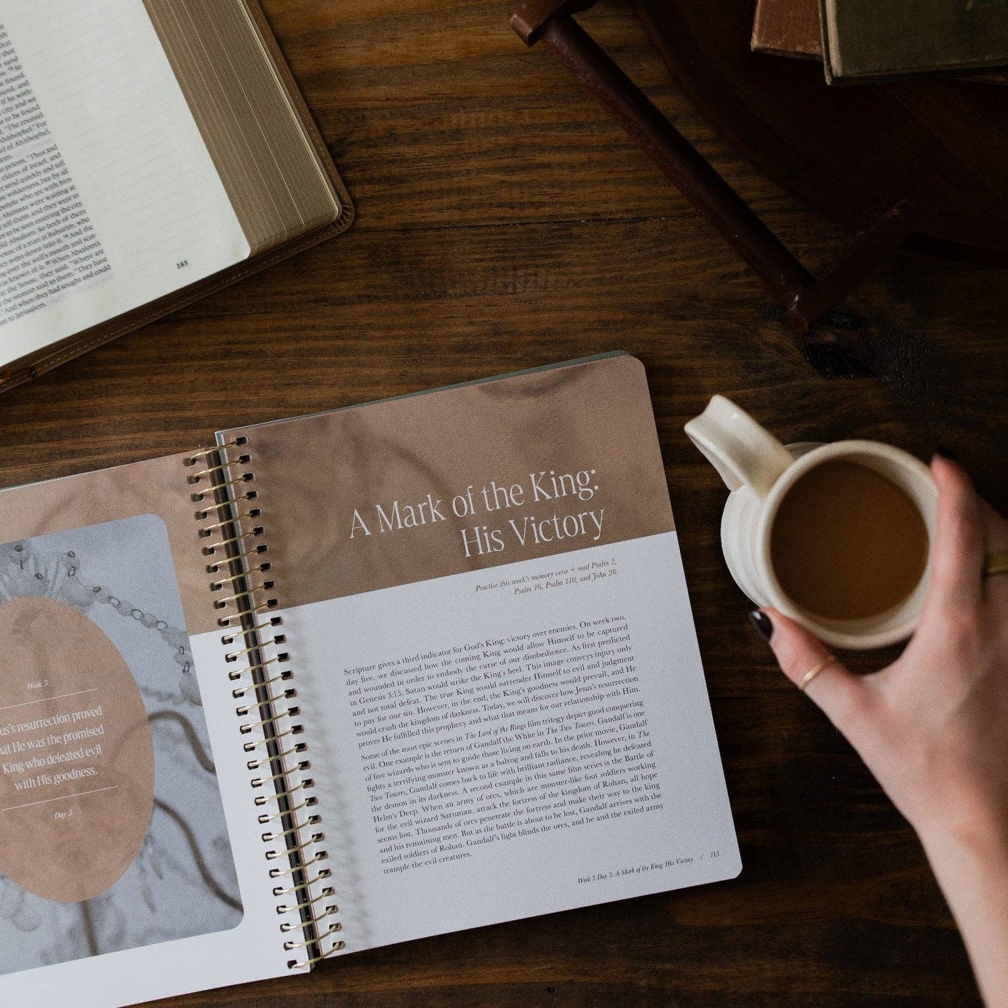 Peaks and Valleys | A Study on the Life of David