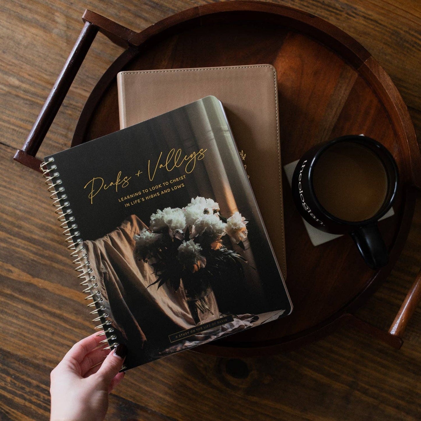 Peaks and Valleys | A Study on the Life of David