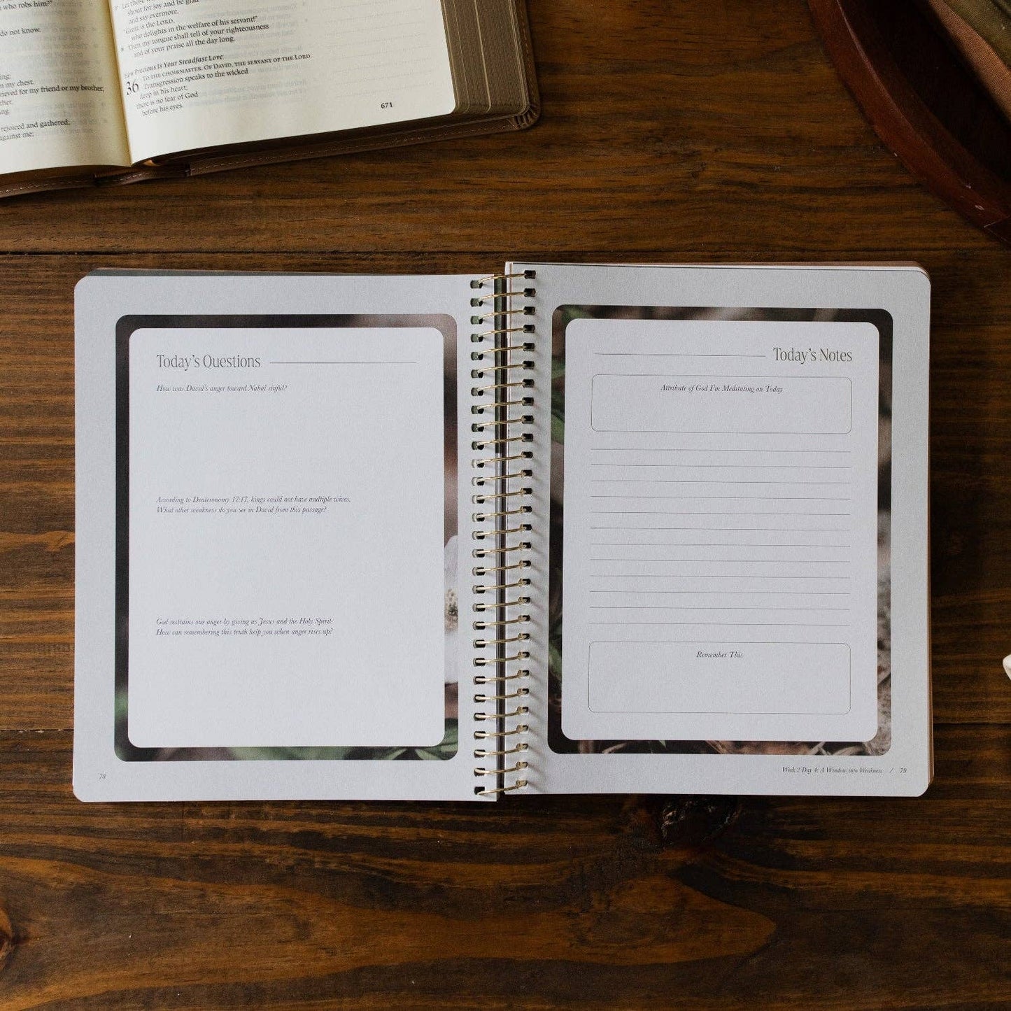 Peaks and Valleys | A Study on the Life of David