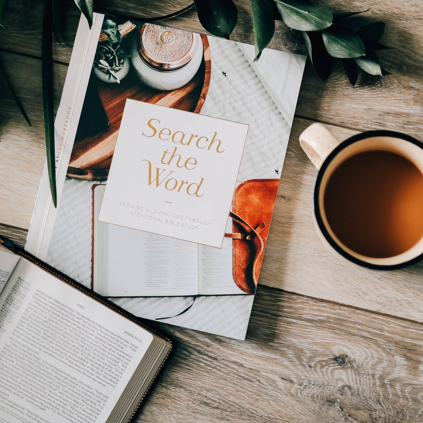 Search the Word