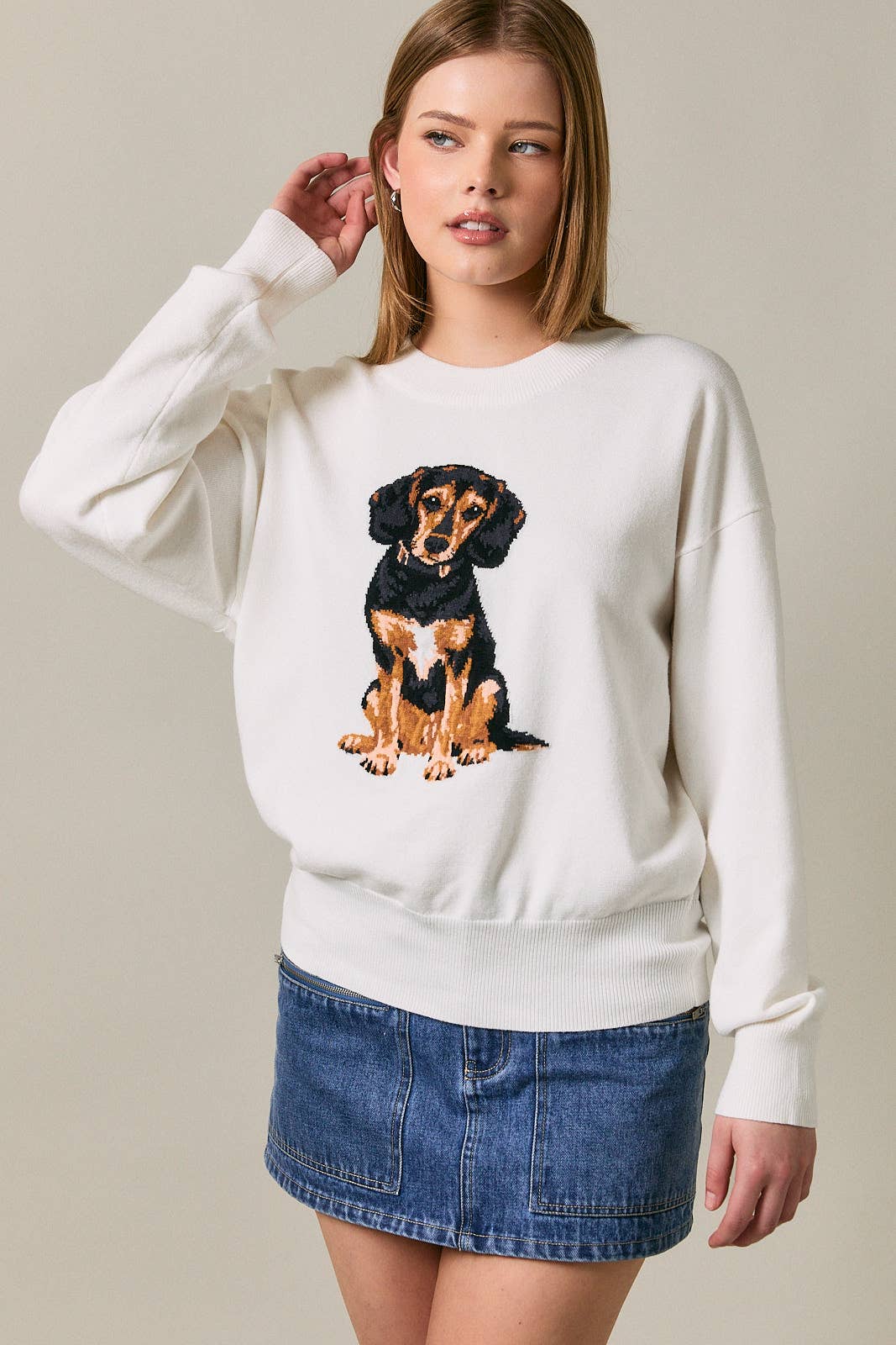 Beagle Oversized Sweater