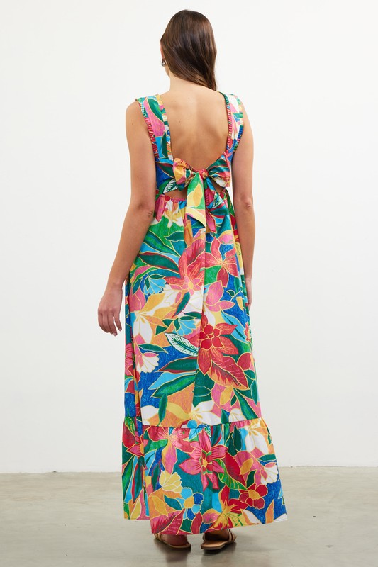 Rosa Vida Dress