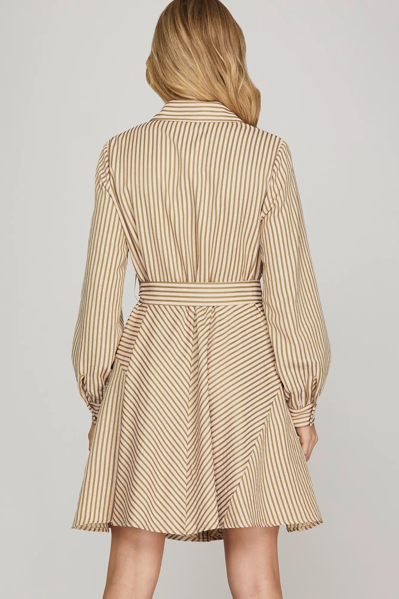 Lakeside Stroll Dress