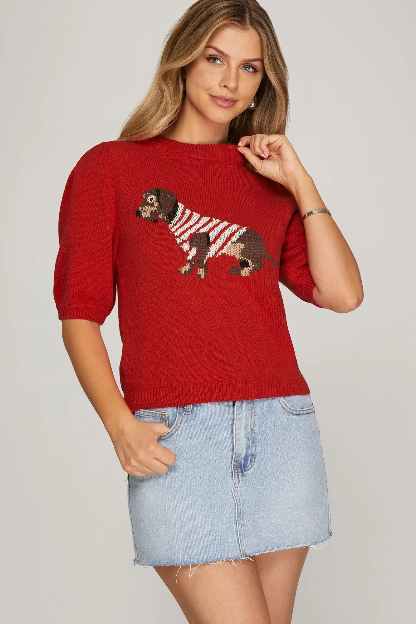 Dachshund Sweater Top