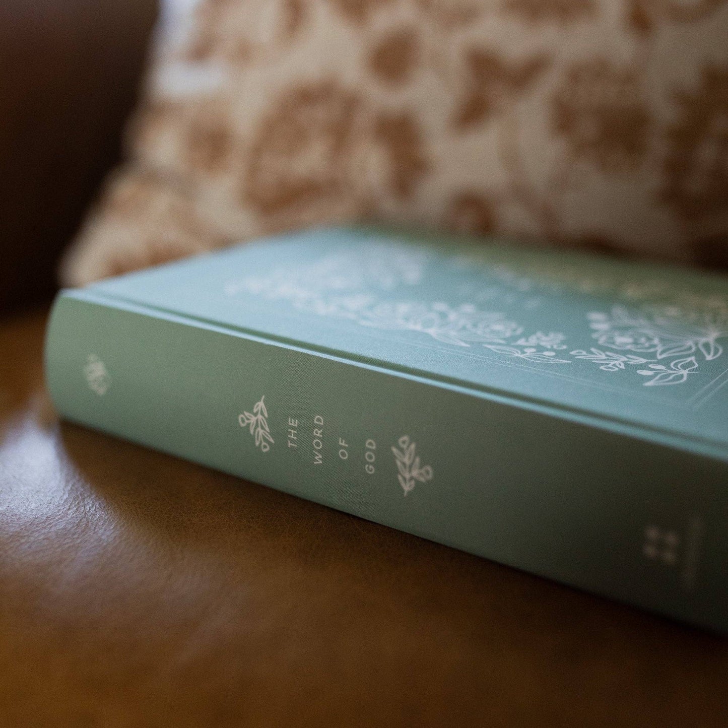 ESV Single Column Journaling Bible | Dusty Mint