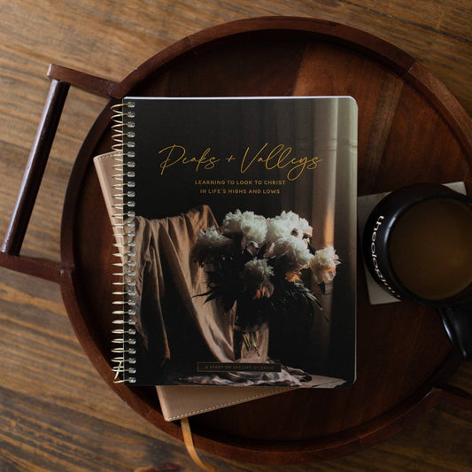 Peaks and Valleys | A Study on the Life of David