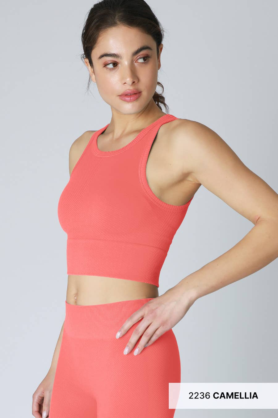 Chevron Highneck Crop Top