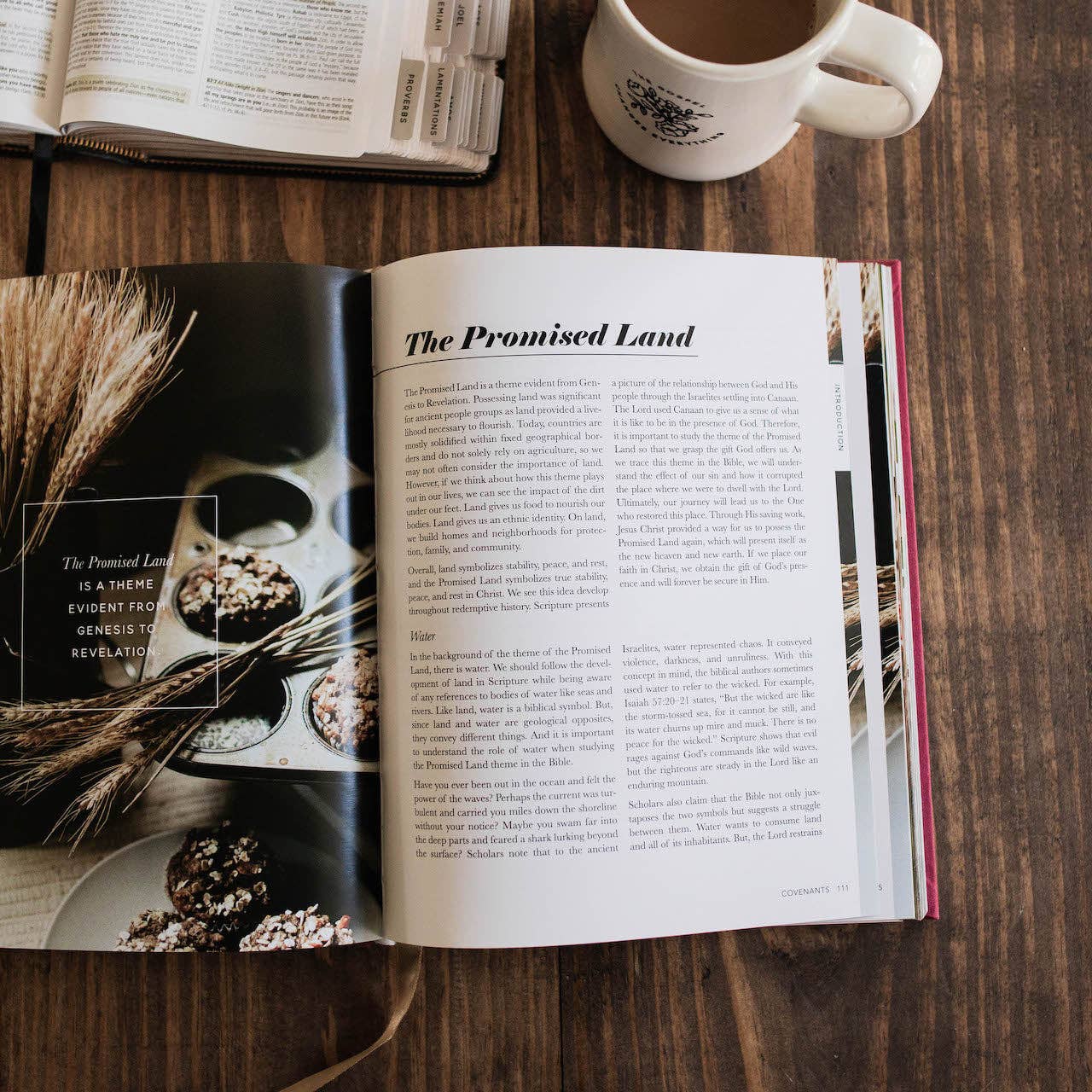 The Bible Themes Handbook | Coffee Table Book