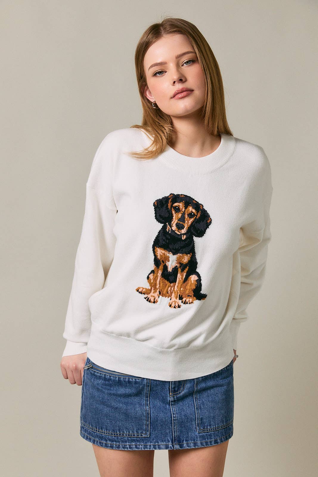 Beagle Oversized Sweater