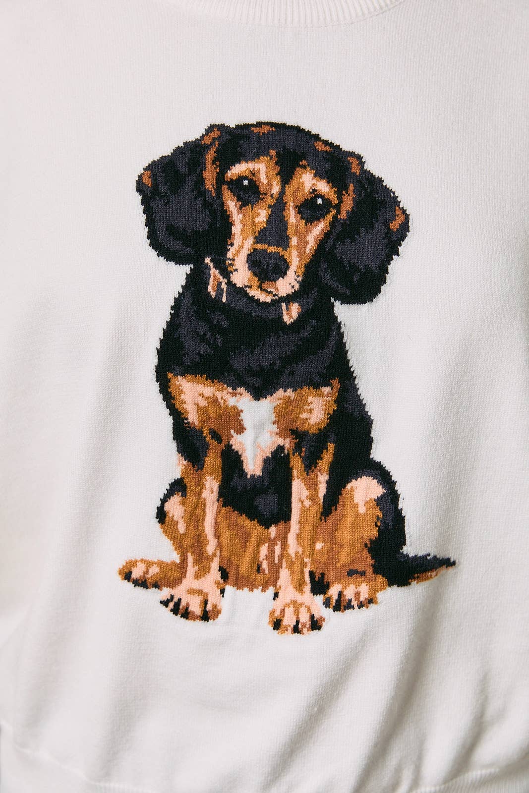 Beagle Oversized Sweater