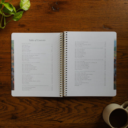 Forty Sayings of Jesus Spiral Bible Study